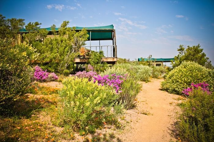 Agama Tented Camp Garies Exterior foto